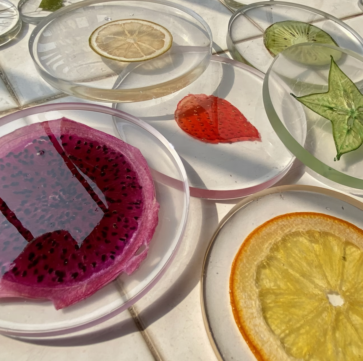 Tropicale | 3D Fruit Coasters Set of 6