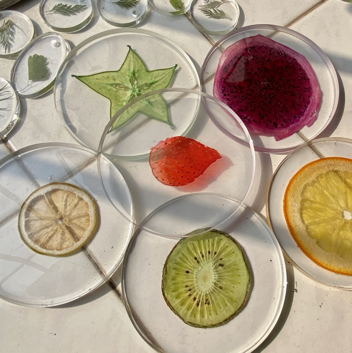 Tropicale | 3D Fruit Coasters Set of 6