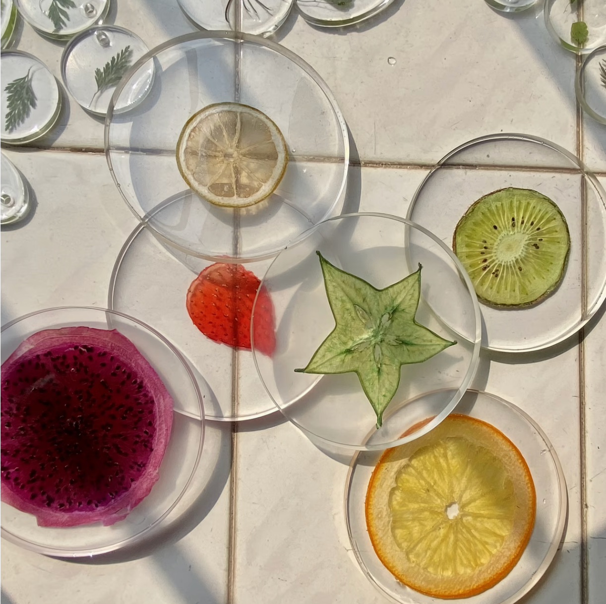 Tropicale | 3D Fruit Coasters Set of 6
