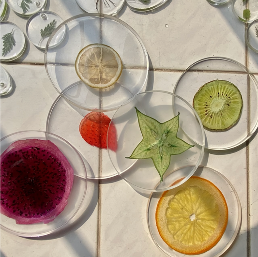 Tropicale | 3D Fruit Coasters Set of 6